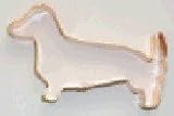 Dog - Dachshund