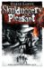 cover of Skulduggery Pleasant