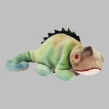 Iggy, the Iguana