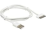 DeLOCK iPhone 4/iPad > USB-A - Adapta...