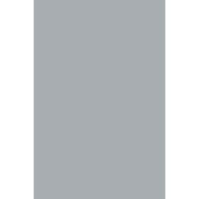 Wrinkle Free Washable 6' X 10' Light Grey Photo Studio Backdrop by Boss Backdrops with Free Ground Shipping