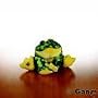 Lil'Kinz Mini Plush Stuffed Animal Bull Frog