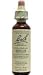 Nelson Bach USA - Beech, 20 Milliliter liquid