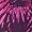 Purple Mix
