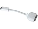 Apple Mini