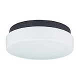 7644-68 - SeaGull Lighting Single-Light Outdoor