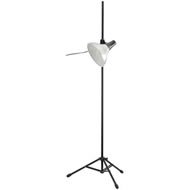 Daylight Studio Lamp With Tripod