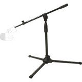 Low-Level Microphone Stand With Boom