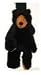 Bear Rug Squeaky Toy