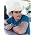 Vignette de Brad Paisley