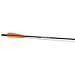 Ten Point PRO Elite Carbon SuperBrite 20