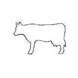 Cow Cookie Cutter