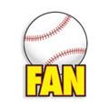 Baseball Fan Car Magnet