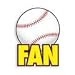 Baseball Fan Car Magnet