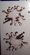 Hardley Dangerous Illusions Bird Doo Removable Stickers