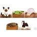 (All 5) Siamese, Pink Googles, Gecko, Snake, Clydesdale Webkinz By Ganz