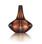 CALVIN KLEIN ~ SECRET OBSESSION ~ 3.4 OZ WOMEN PERFUME