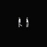 Image of album by Max Richter