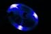 Black Jax Sports: Blue Quest Light up Disc Golf Driver.