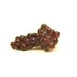 Dollhouse Miniature Bunch of Juicy Red Grapes