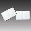 Boorum & Pease 21-150-Q Bound columnar book, quadrille ruled, 5 squares/inch, 150 pages, 10-3/8x8-1/8