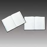 Boorum & Pease 21-150-Q Bound columnar book, quadrille ruled, 5 squares/inch, 150 pages, 10-3/8x8-1/8