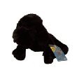 Webkinz Black Lab with Trading Cards