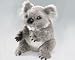 Koala Webwilds