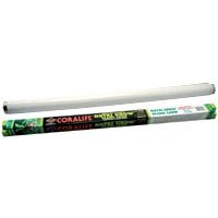 Nutrigrow Plant Fluorescent Lamp - 15W - 18 in. - Buy Nutrigrow Plant Fluorescent Lamp - 15W - 18 in. - Purchase Nutrigrow Plant Fluorescent Lamp - 15W - 18 in. (CENTRAL AQUATICS-ENERGY SAVERS, Home & Garden, Categories, Pet Supplies, Fish & Aquatic Pets, Aquarium Accessories, Lights)
