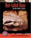 Red-Tailed Boas: A Complete Guide to Boa Constrictor (Complete Herp Care) by Ben Aller