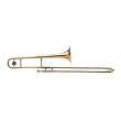 Standard "Prelude" - .509" Bore, 8" Bell, Clear La