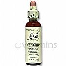 Bach Flower Remedies - Mustard - 20 ml