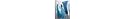 Davidoff Cool Water for Women Perfume Collection