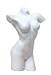 040 8.5 Inch Unglazed Porcelain Figurine Armless Nude-Female Torso