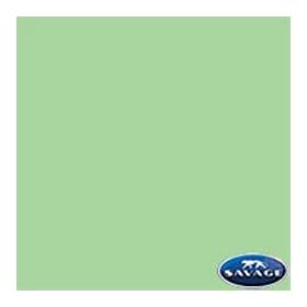 Click here to buy 107 x 12yds Background Paper (#40 Mint Green).