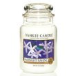Yankee Candle Midnights Jasmine 22oz (623.7g) 