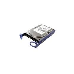 Lenovo ThinkServer - Hard drive - 750 GB - internal - 3.5 - SATA-300 by Lenovo