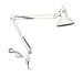 LumaPro 4PD41 Clamp On Light, 100 W