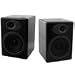 Audioengine A5 Powered Multimedia Speaker System (Black)