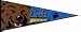 UCLA 12" X 30" Pennant