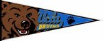 UCLA 12" X 30" Pennant
