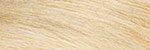 Frederic Fekkai Salon Color, 10N Very Light Blonde Grace 1 ea