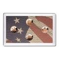 Proof Lincoln Cent 2009-S 4 Piece Set