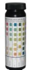 Multistix Test Strips Generic 10SG 100/BOTTLE, Exp: 2 years