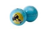 Planet Dog Orbee-Tuff Adopt Ball for Dogs