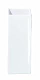 Produkt-Bild: ASA Selection Quadro Vase weiss 11,5x11,5x40cm