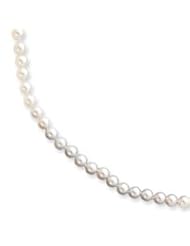 14k 5-5.5mm White Akoya Saltwater Cultured Pearl Necklace - PL50AA-24"