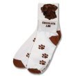 Chocolate Labrador Retriever Roll Down Sock