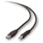 10' A to B Usb 2.0 Peripheral Cable 20 Gauge Power Wires