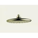 Delta Faucet Touch-Clean Raincan Showerhead RP52382PB